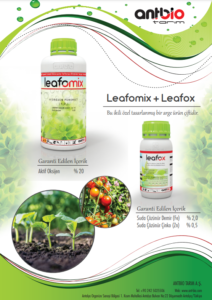 Leafomix-Leafox